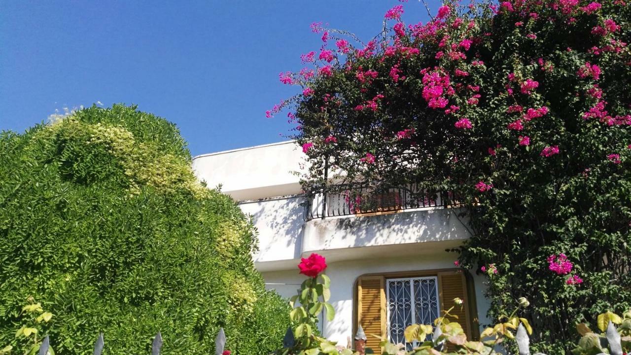 Villa Mary Трани Екстериор снимка